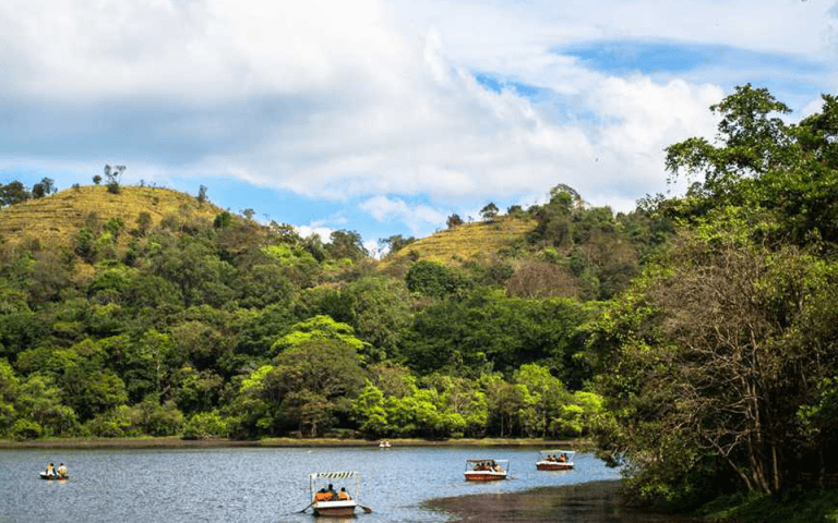 Best Resort in Wayanad