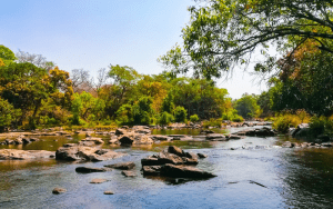 kuruva island view